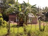 Half-completed House with 40 Parches of land for sale in Mahawa