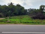 Valuable Commercial Land for Urgent Sale in Pallama, Anamaduwa.
