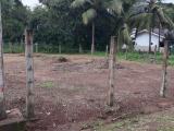 Highly Residential Land for Sale