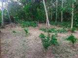 Good residential land for urgent sale in Katana, Negombo.