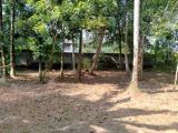 Prime Land for Sale in Gonawala, Kelaniya – Exceptional Value!