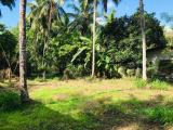20 Perches Land for sale in Koskadawala, Yakkala.
