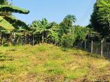 Residential Land for Sale in Indigolla, Gampaha.
