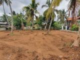 Nittambuwa land (25.5 purch) for sale