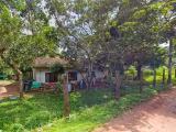 House with 35 Perches Land for Sale in Orutota, Gampaha.