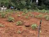 kalutara land for sale