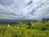 Premium 40 Perches Land Property for Sale in Kandy.