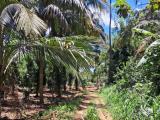 A prime residential land for sale in Naula (Arangala), Matale.