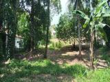 Residential Land for Sale at Siyambalape, Biyagama