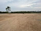 Well Developed 3.5 Acres Bare Land for Rent in Katunayake.
