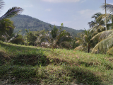 A Valuable 10 Acres Land for Sale in Rambukkana Road, Kegalle
