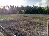 Immediate sale for land