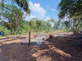 Valuable Land for Sale at Pathmaperuma Mawatha – Ganemulla.