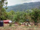 6 Acre Scenic Agricultural Land for Sale – Thalathuoya, Kandy.
