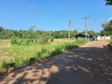 Paddy Land for Sale – Bataleeya Junction, Kadjugama, close to Kandy Road