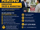 Executive Sales & Marketing