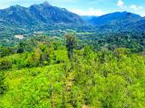 Invest in Sri Lanka’s Premier Agribusiness Badulla – Mahiyangana road.