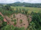 Valuable Residential Land Blocks Available for Sale in Weliweriya.
