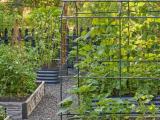 7 Tree – Your Green Garden Partner