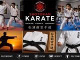 Shotokan Karate Training – Build Strength, Discipline & Confidence