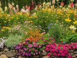 Chamathka Flower Hut – Flower Plants & Garden Plants