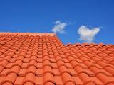 Sheneth Tile Factory – Quality Roofing Tiles
