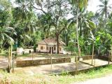 85 Perches of Land with Coconut Plantation and Green Surroundings for Sale