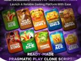 Maximized Profitability Starts with This High RTP Pragmatic Play Clone Script