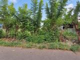 Highly Residential Land for Sale in Pelawatta, Battaramulla