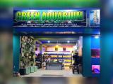 Green Aquarium – Ornamental Fish & Aquarium Solutions