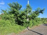 Land for Sale near Panadura Town