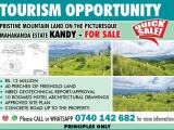 QUICK SALE – PREMIUM 40 PERCHES LAND PROPERTY FOR SALE IN KANDY.