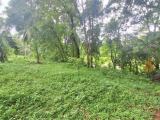 ගම්පහ, උඩුගම්පොළ, ගල්පොත්ත හන්දියට ආසන්නව පර්චස් 120ක ඉඩමක් විකිණීමට.